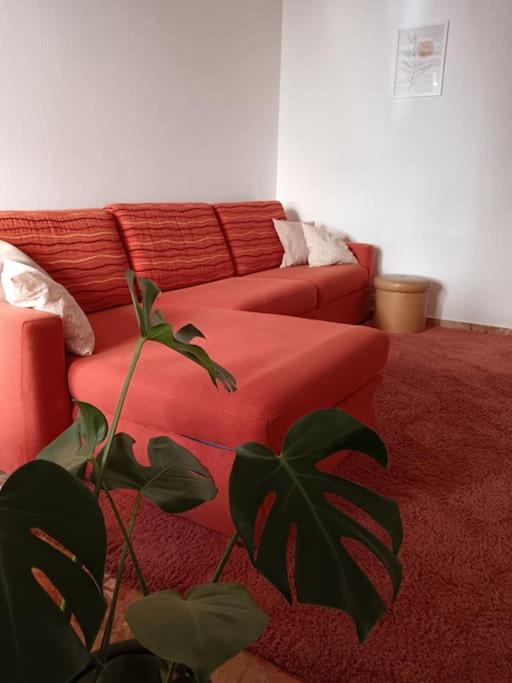 Apartment Forti Genova-free Parking Castellaccio